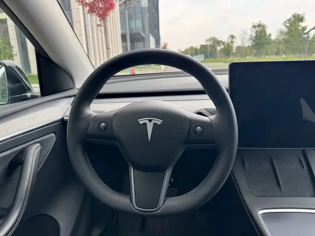 Tesla Model Y — фото 17