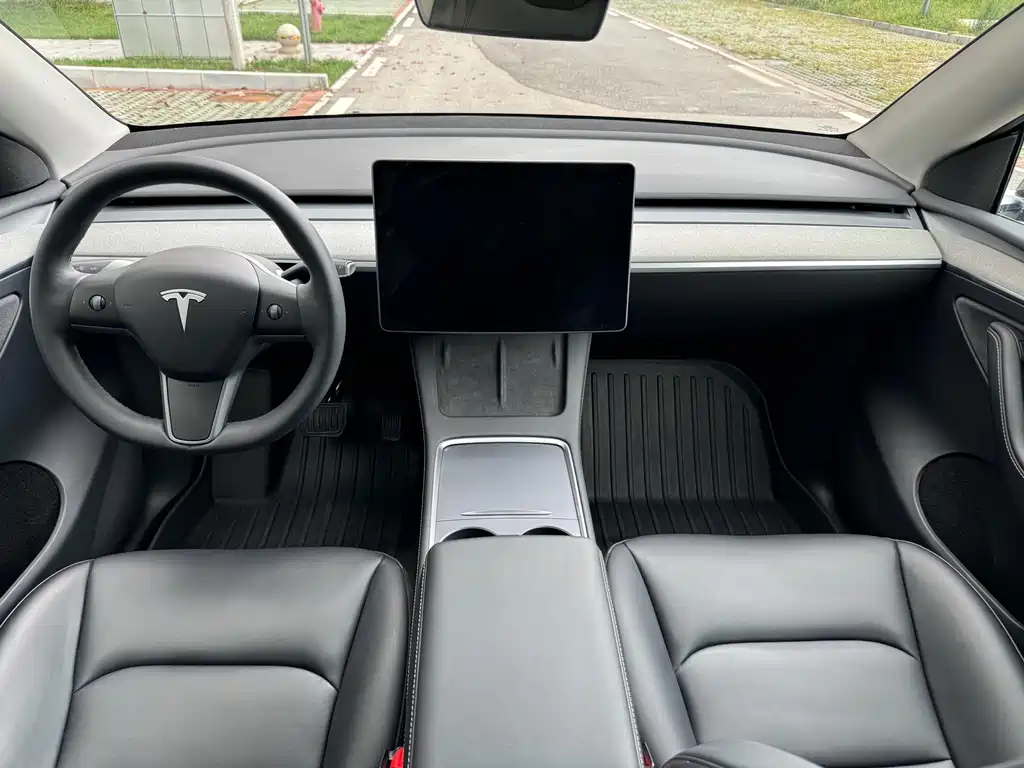 Tesla Model Y — фото 18