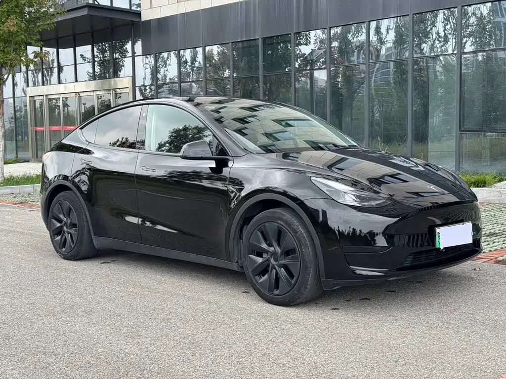 Tesla Model Y — фото 3