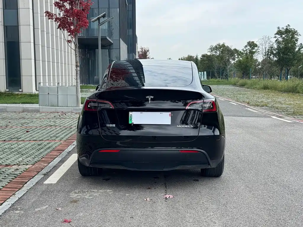 Tesla Model Y — фото 5