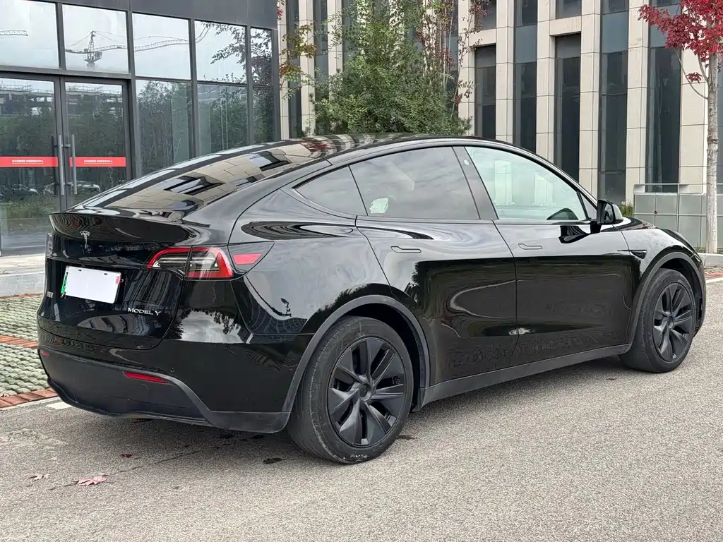 Tesla Model Y — фото 6