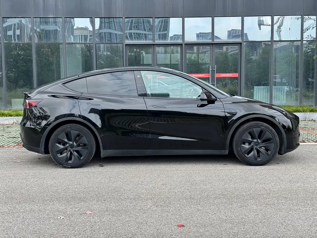 Tesla Model Y — фото 8