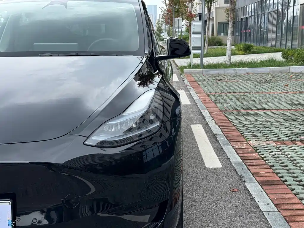 Tesla Model Y — фото 10