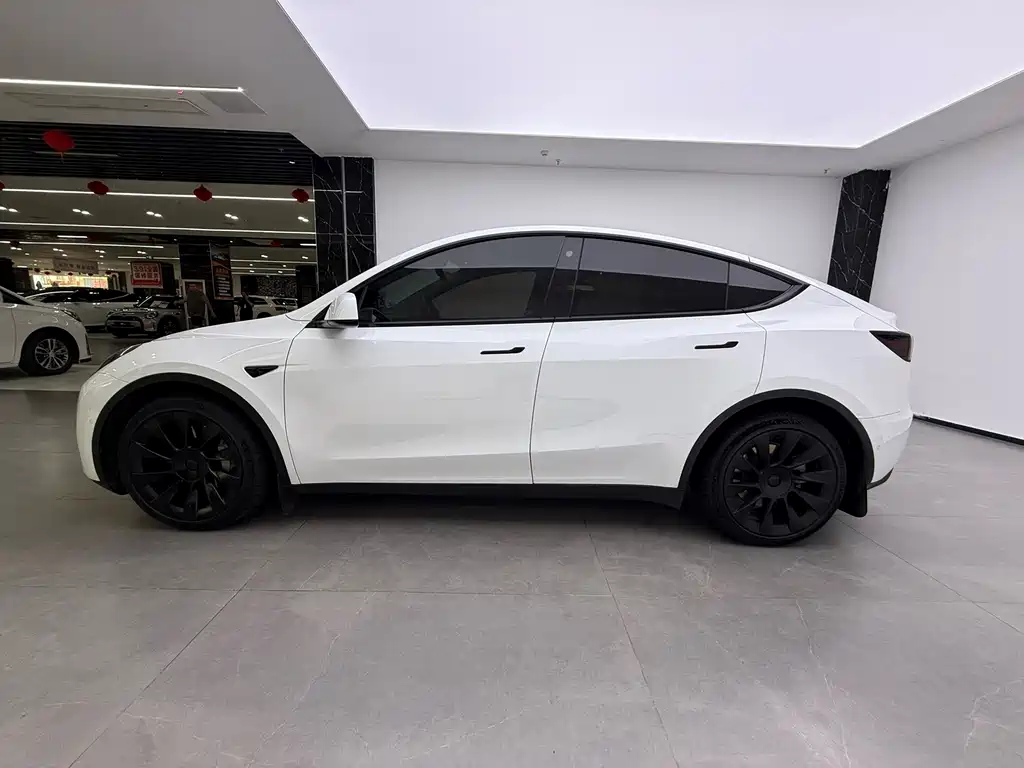Tesla Model Y — фото 5