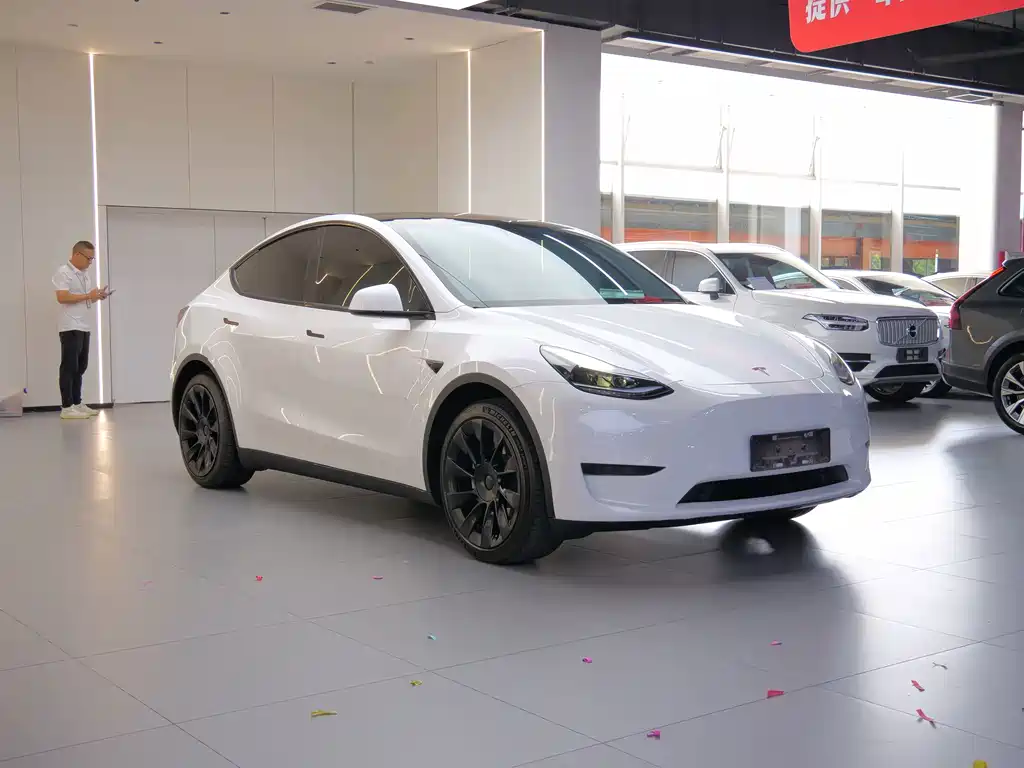 Tesla Model Y — фото 3