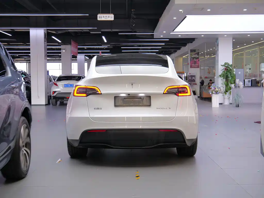 Tesla Model Y — фото 7