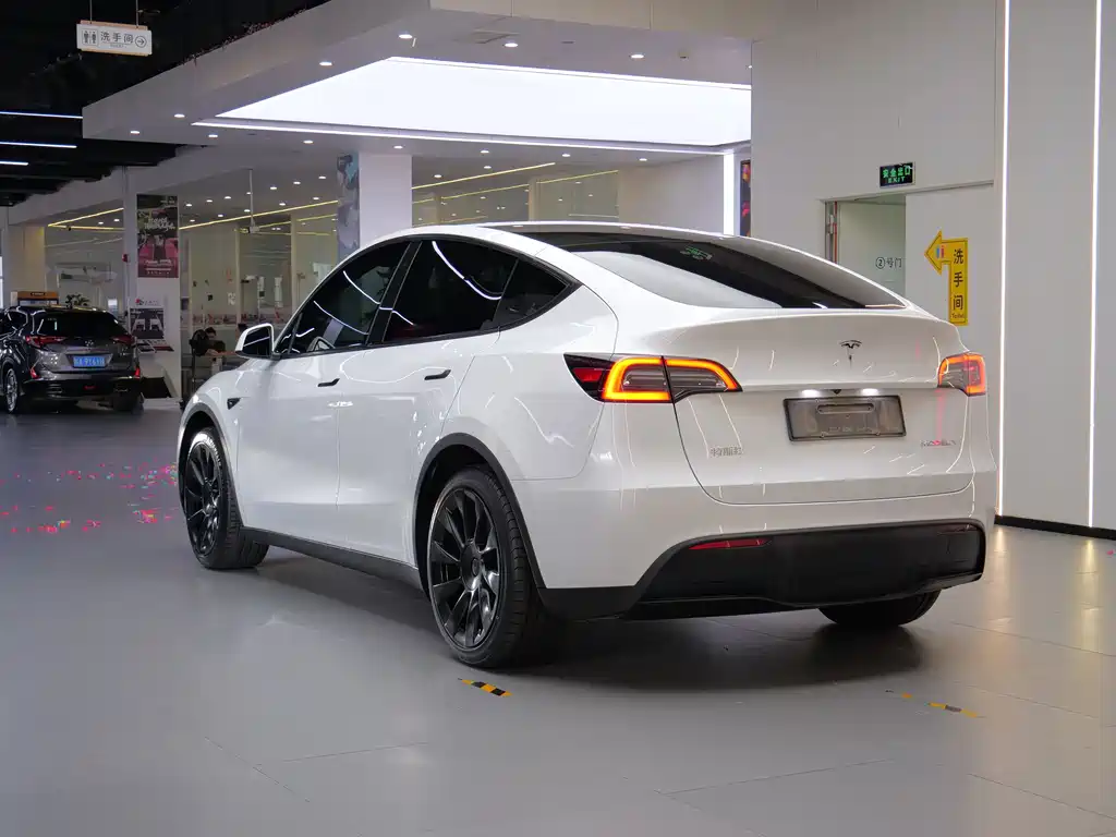 Tesla Model Y — фото 8