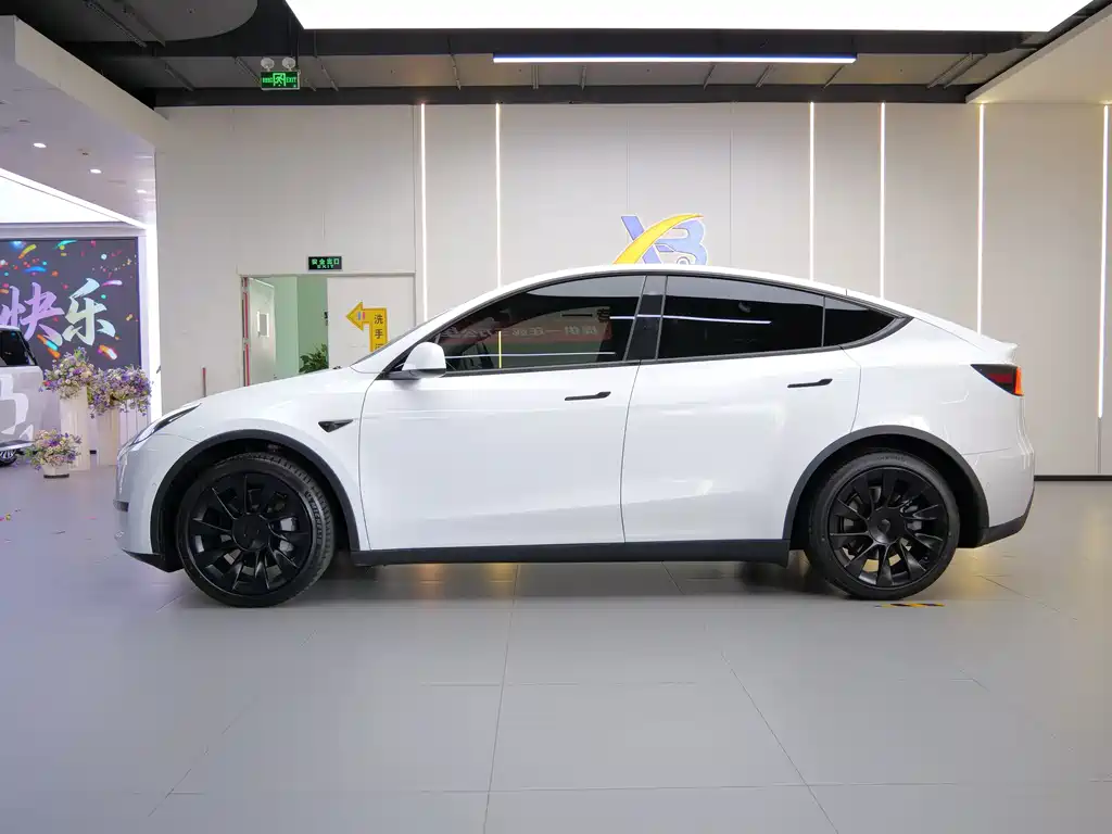 Tesla Model Y — фото 9