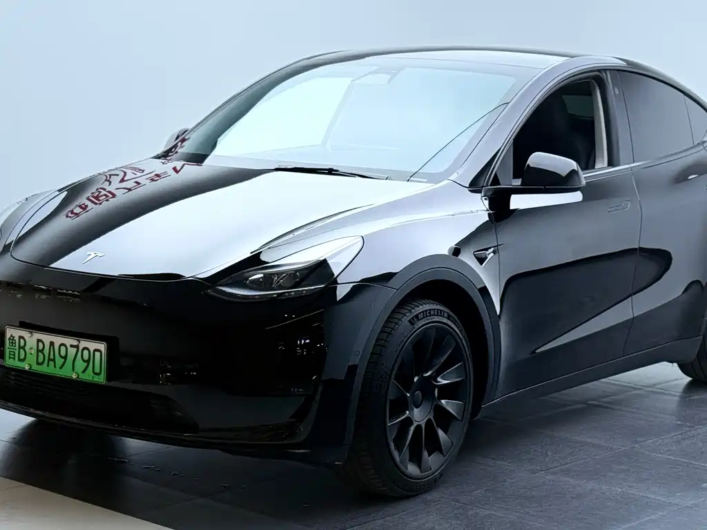 Tesla Model Y — фото 2
