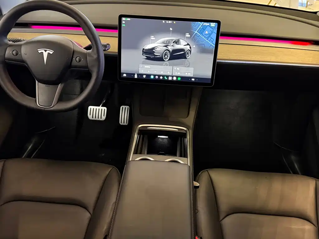 Tesla Model Y — фото 13