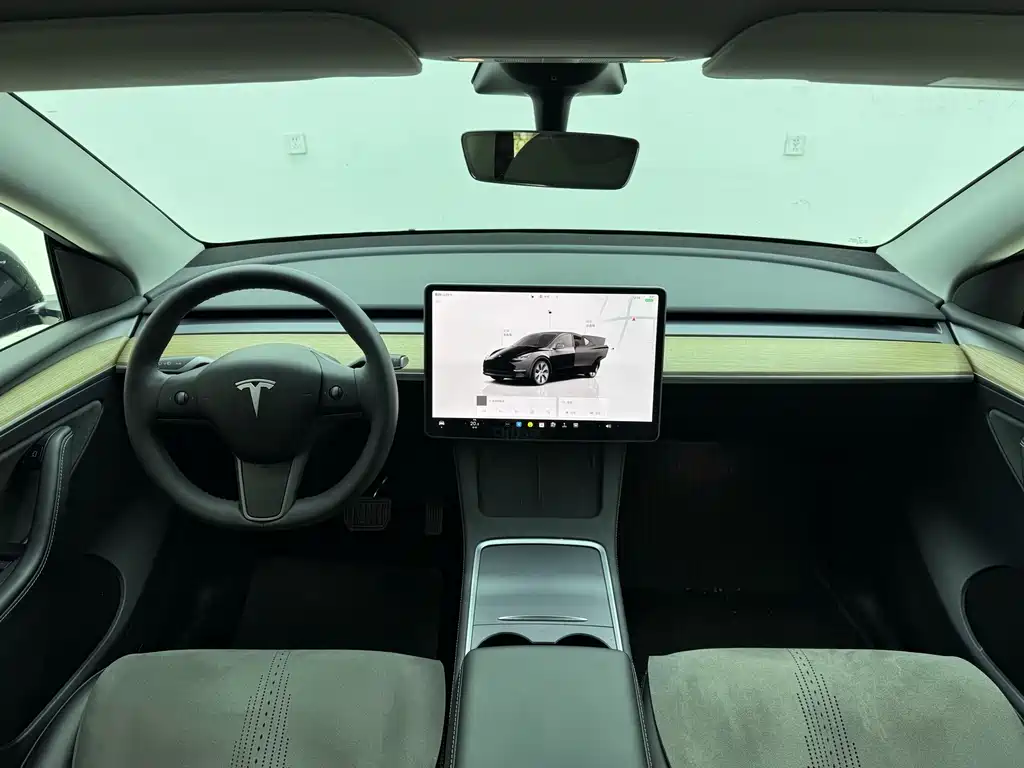 Tesla Model Y — фото 13