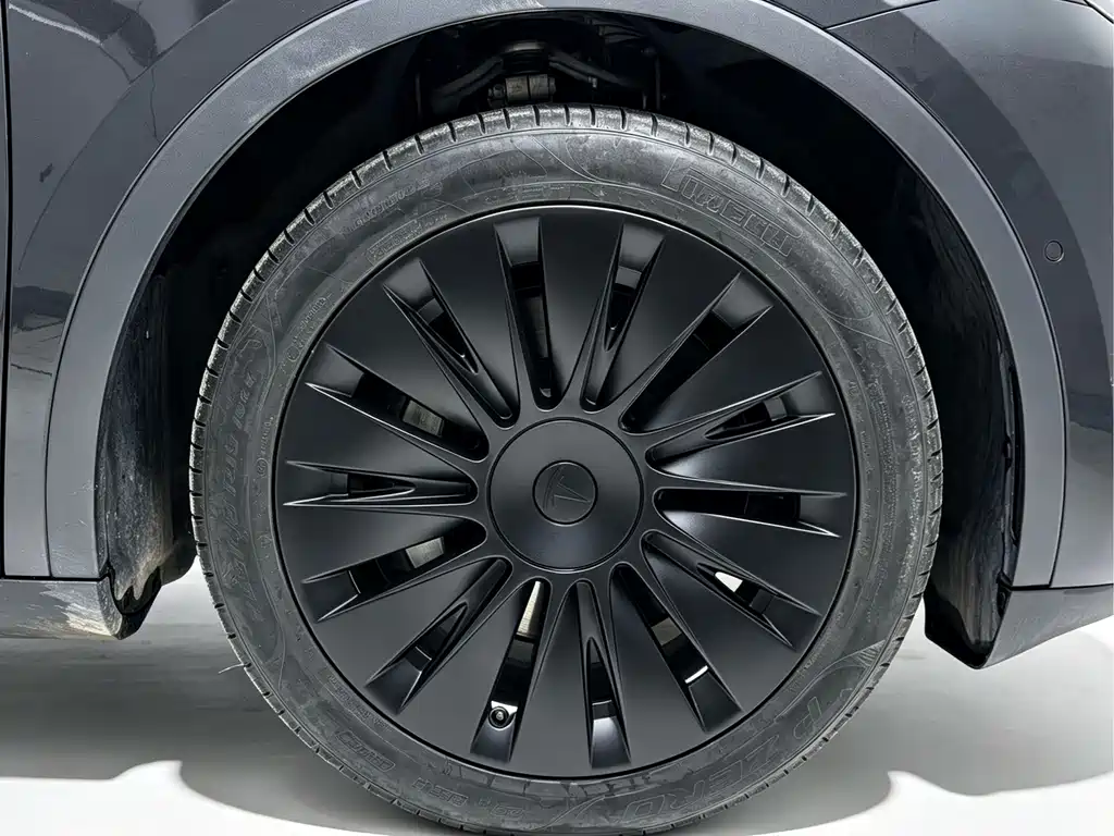 Tesla Model Y — фото 20