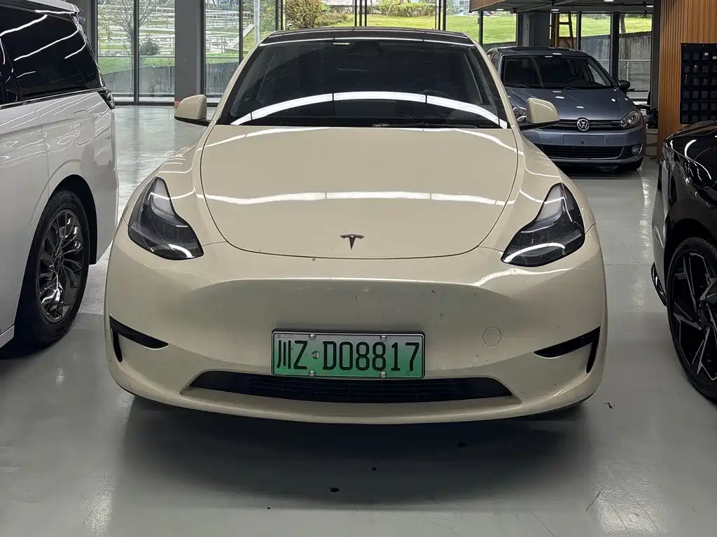 Tesla Model Y — фото 2