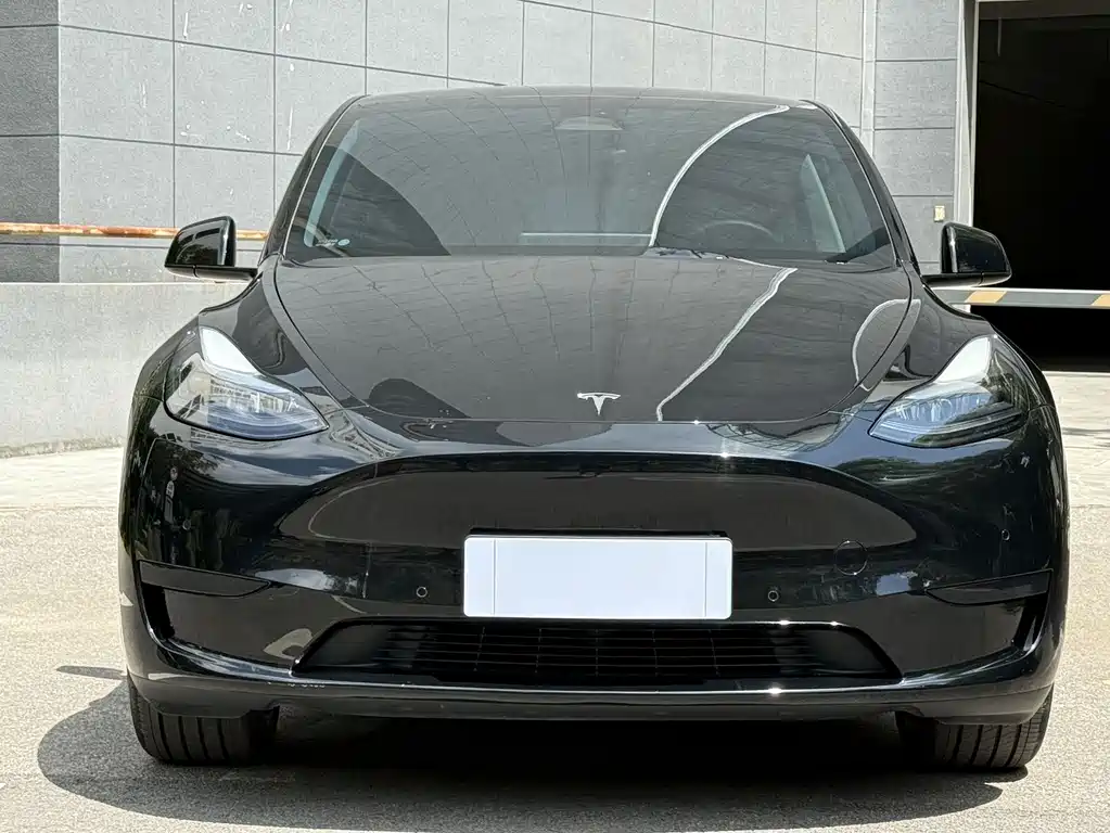 Tesla Model Y — фото 2