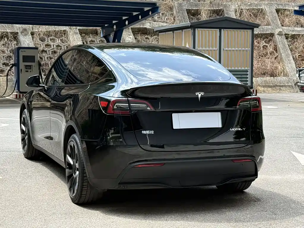 Tesla Model Y — фото 11