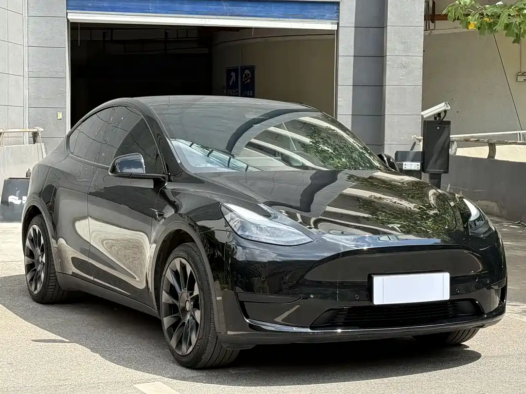 Tesla Model Y — фото 3
