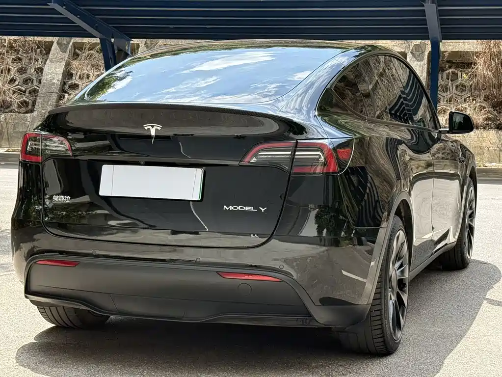 Tesla Model Y — фото 9