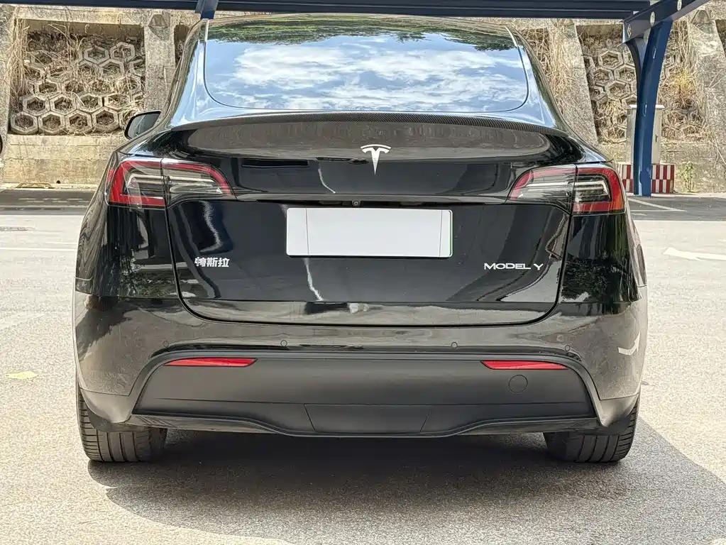 Tesla Model Y — фото 10