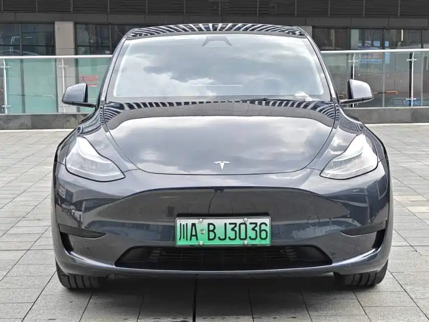 Tesla Model Y — фото 2