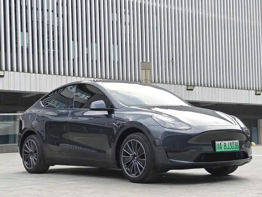 Tesla Model Y — фото 3
