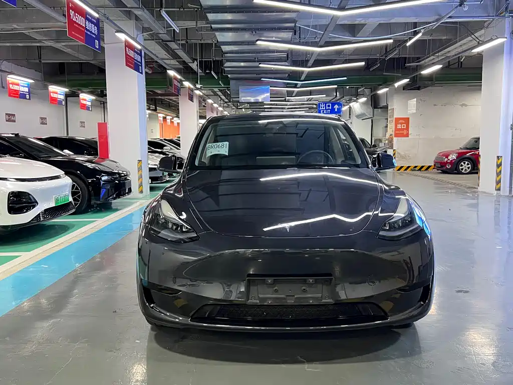 Tesla Model Y — фото 2