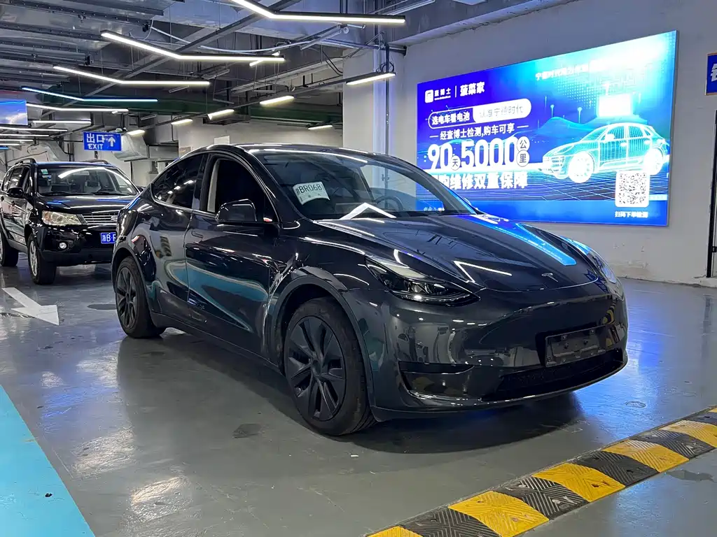 Tesla Model Y — фото 3