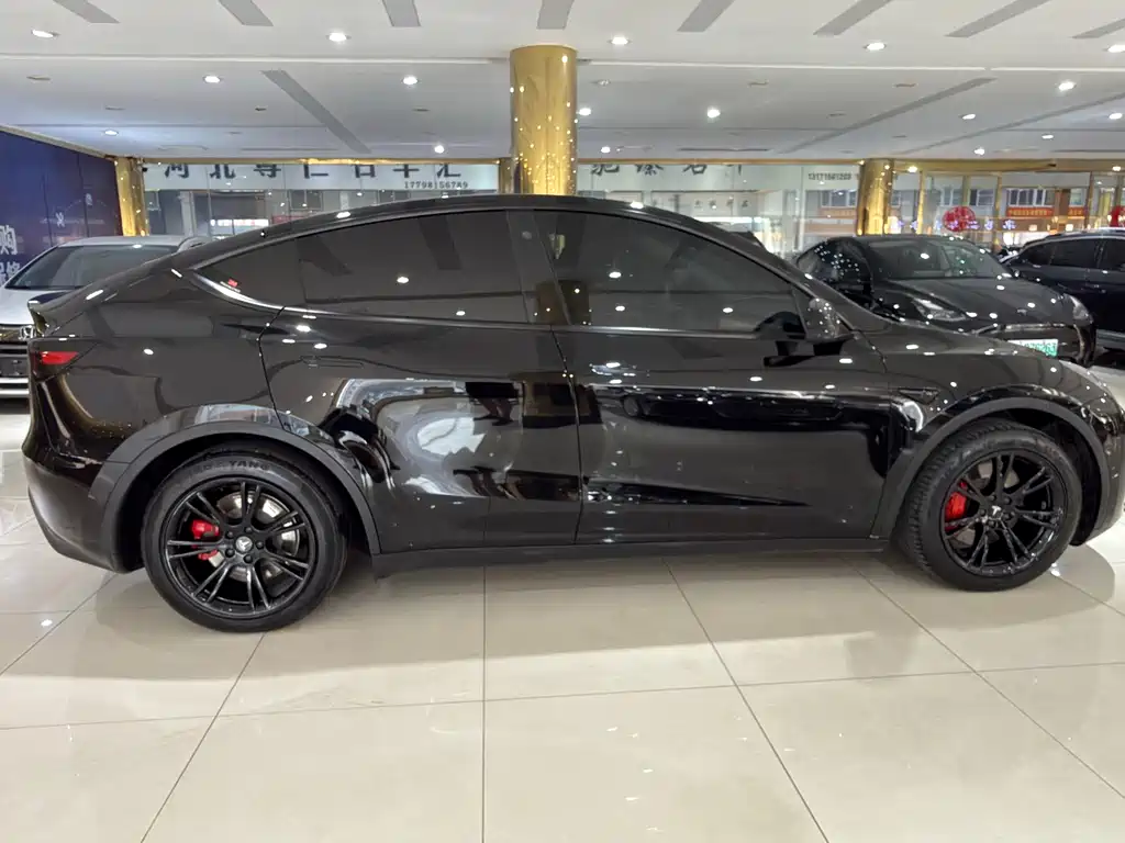 Tesla Model Y — фото 3