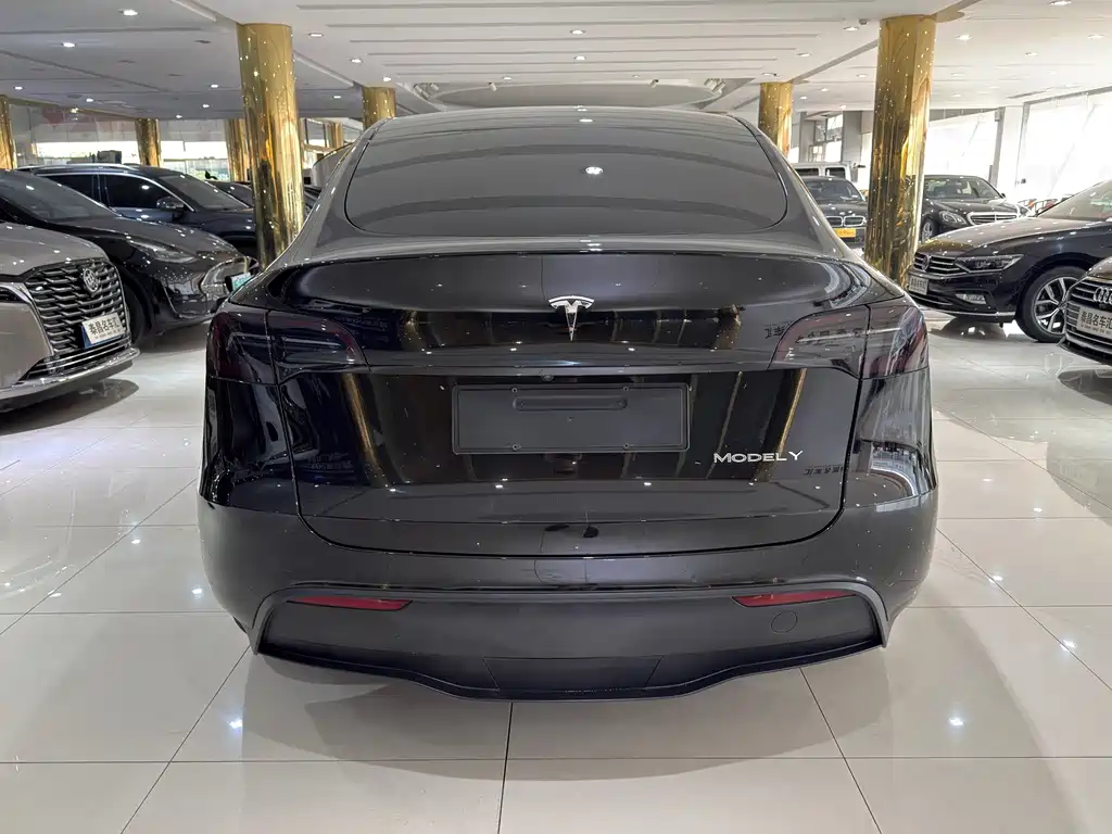 Tesla Model Y — фото 5