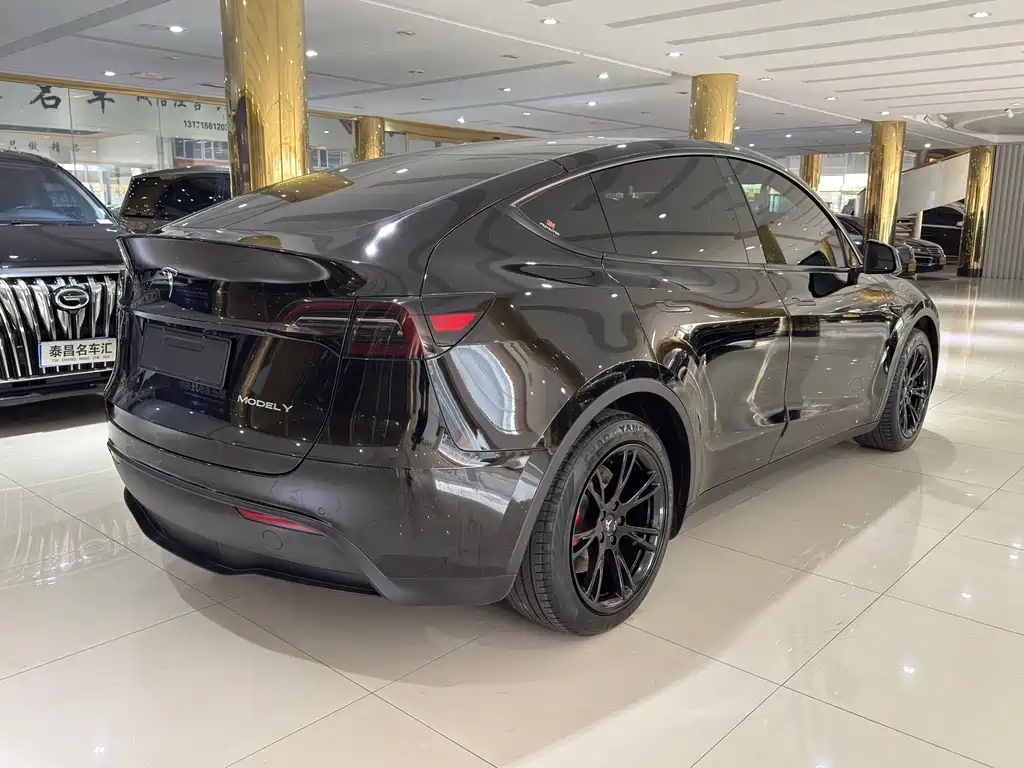 Tesla Model Y — фото 6
