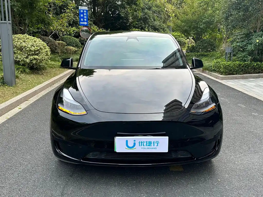 Tesla Model Y — фото 2
