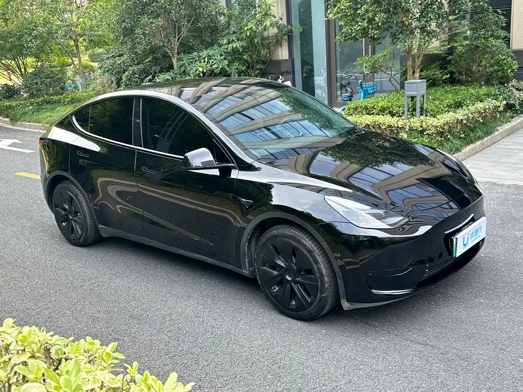 Tesla Model Y — фото 3