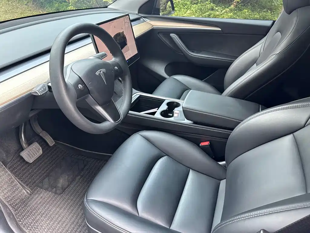 Tesla Model Y — фото 10
