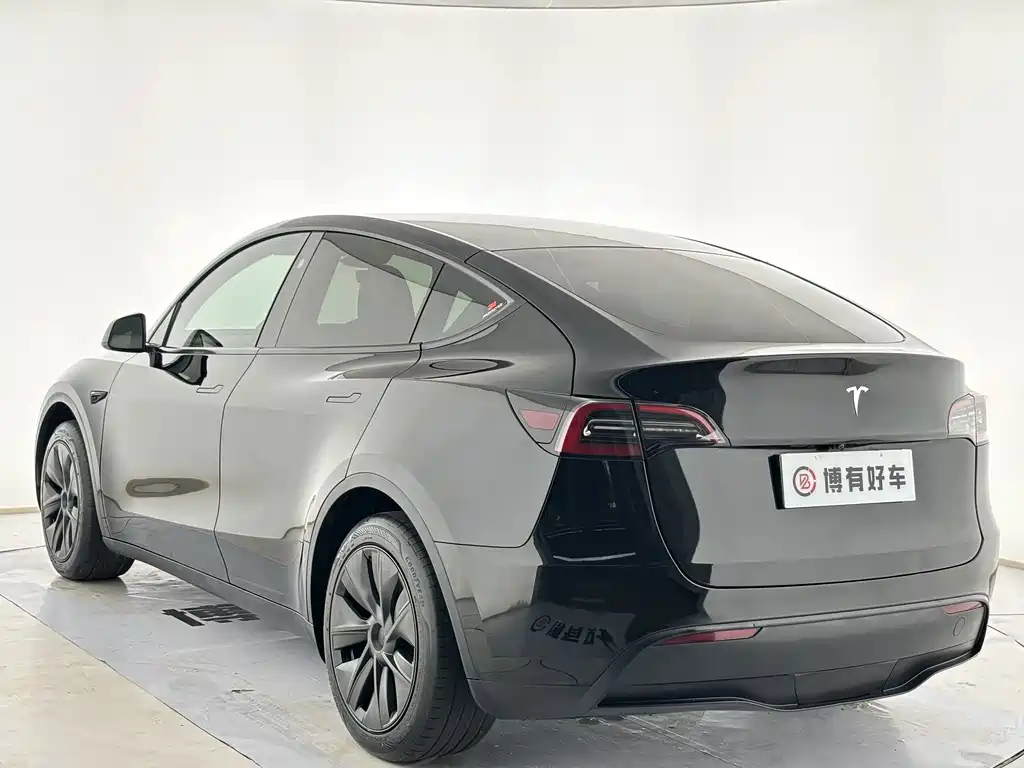 Tesla Model Y — фото 11