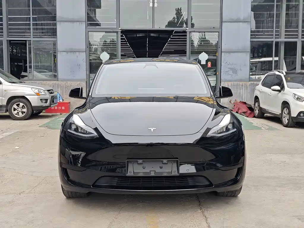 Tesla Model Y — фото 2