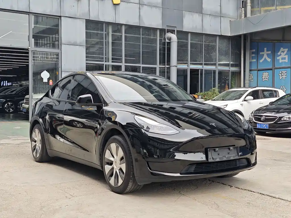 Tesla Model Y — фото 3