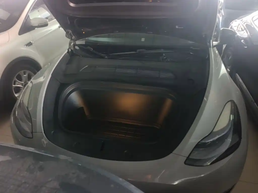 Tesla Model Y — фото 11