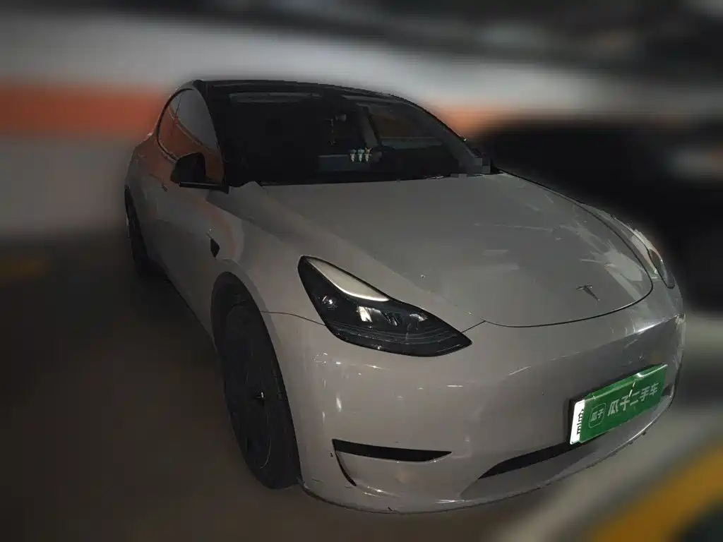 Tesla Model Y — фото 24