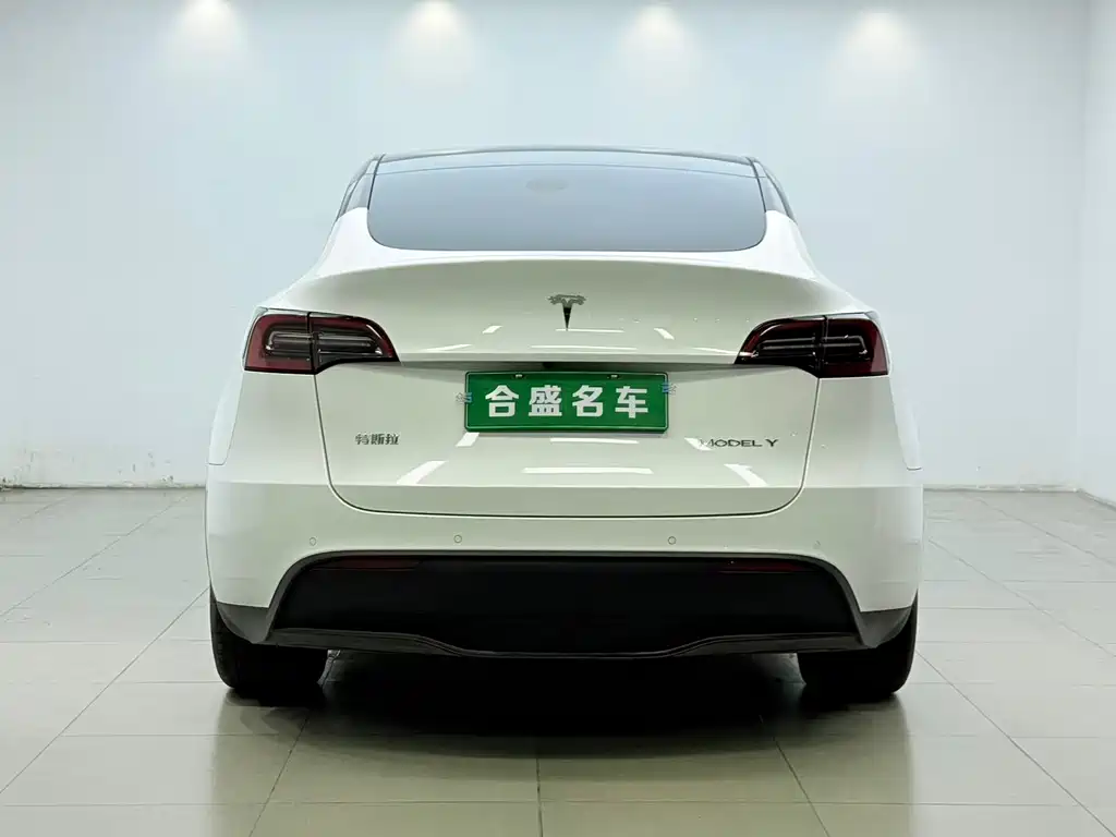 Tesla Model Y — фото 11