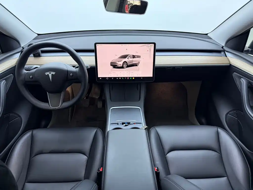 Tesla Model Y — фото 5