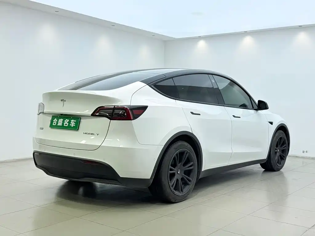 Tesla Model Y — фото 10