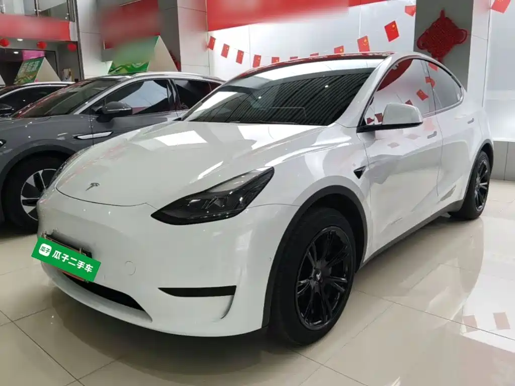 Tesla Model Y — фото 2