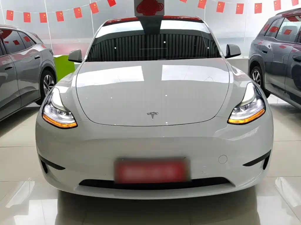 Tesla Model Y — фото 3