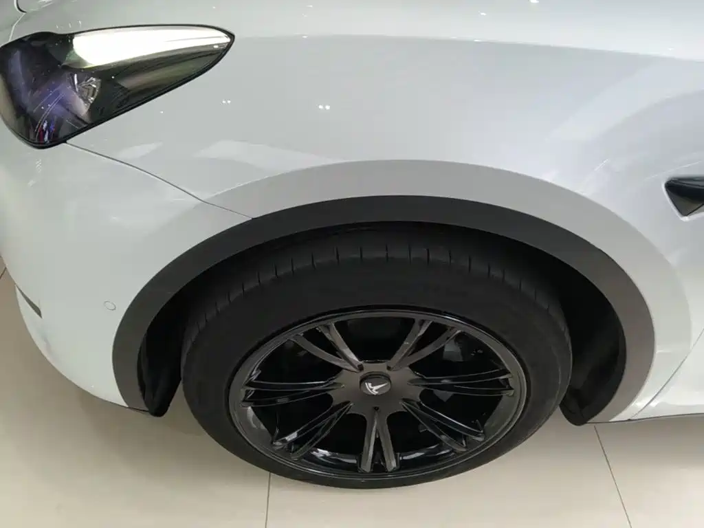 Tesla Model Y — фото 23