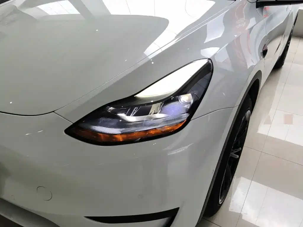 Tesla Model Y — фото 24