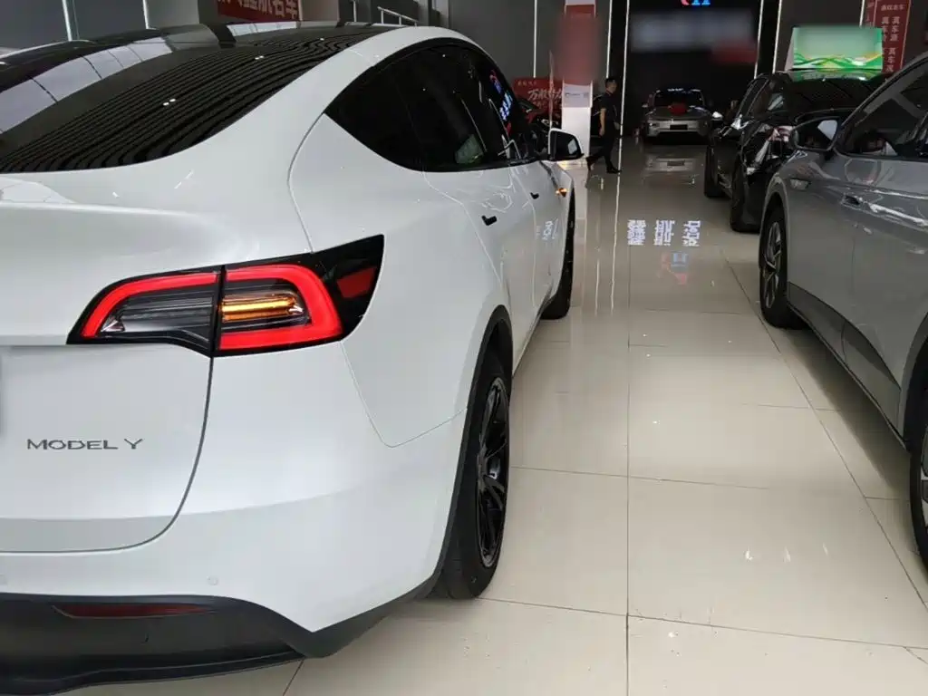 Tesla Model Y — фото 8