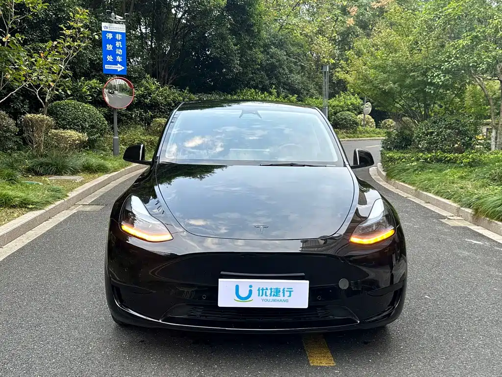 Tesla Model Y — фото 2