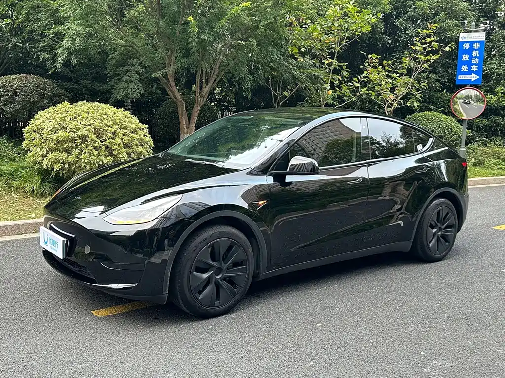 Tesla Model Y — фото 1