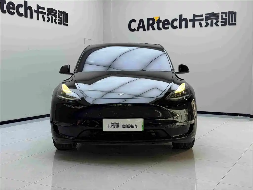 Tesla Model Y — фото 2
