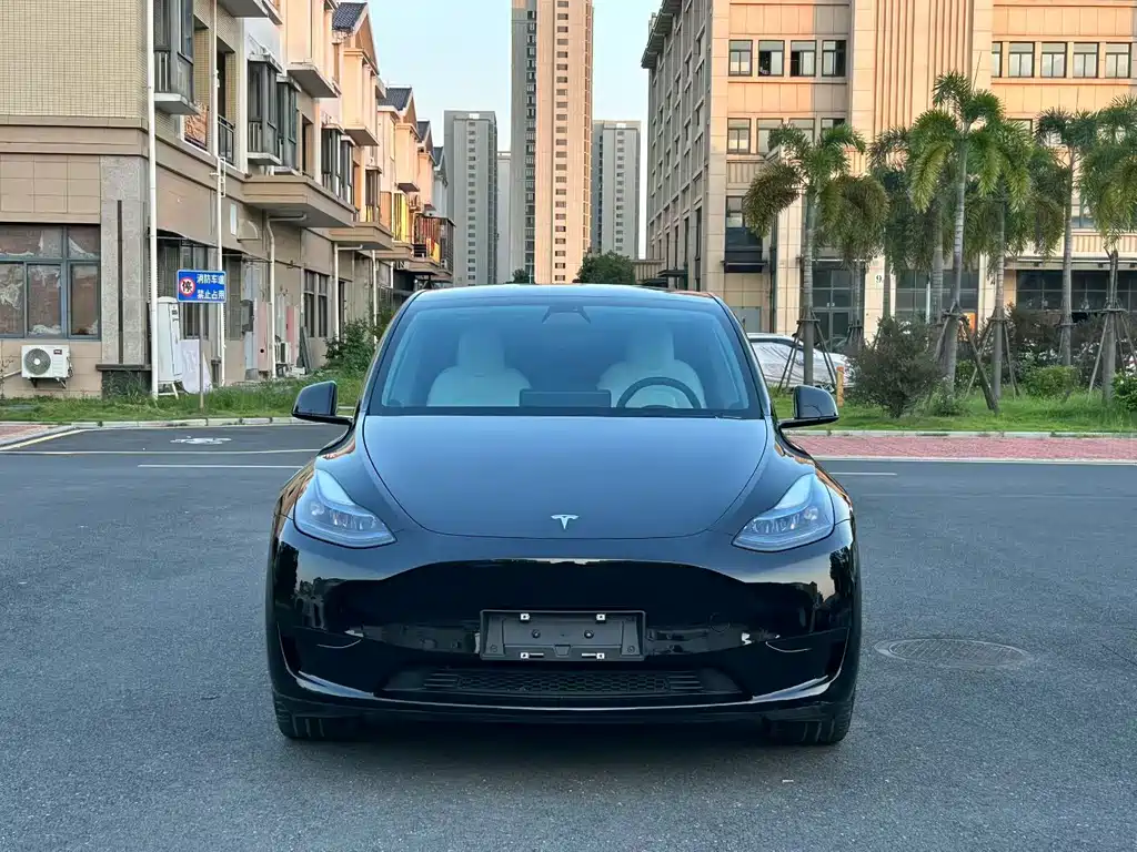 Tesla Model Y — фото 2