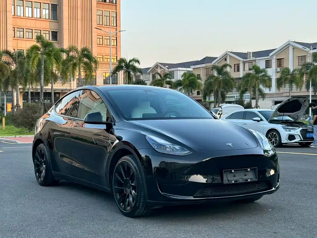 Tesla Model Y — фото 3